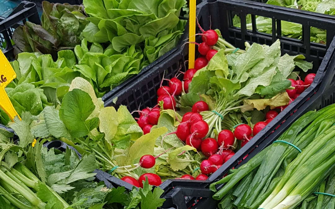 Nouveau : Marché de Cantaron le dimanche