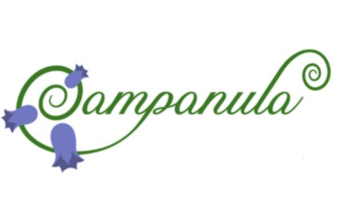 Campanula
